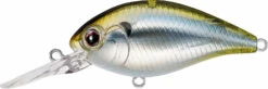 Evergreen International CR-16 Extra Deep Diving Crankbait -Vis en Kleding Shop Evergreen CR 426 b32e2d68 bee8 4c7a af38 e97f24f553c9