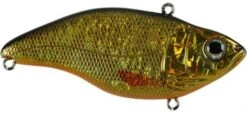 SPRO Aruku Shad Jr. Lipless Crankbait 22 SPRO Aruku Shad Jr. Lipless Crankbait -Vis en Kleding Shop Gold Black fc40c856 4318 445c a064 fee66d52012f