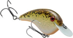 Strike King Chick Magnet Flat Sided Crankbait -Vis en Kleding Shop HCCM 563