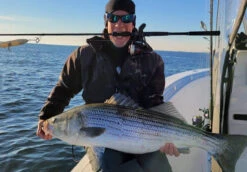 Nomad Design Inshore Spinning Rod -Vis en Kleding Shop Inshore Spin