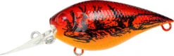 Lucky Craft LC 0.7 DR Deep Running Crankbait -Vis en Kleding Shop LC 0 7DR 137TOCR