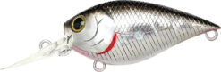 Lucky Craft LC 0.7 DR Deep Running Crankbait -Vis en Kleding Shop LC 0 7DR 419BPGSN