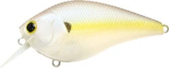 Lucky Craft LC 2.5 Shallow Squarebill Crankbait 23 Lucky Craft LC 2.5 Shallow Squarebill Crankbait -Vis en Kleding Shop LC 2 5 250CRSD