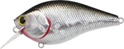 Lucky Craft LC 2.5 Shallow Squarebill Crankbait 22 Lucky Craft LC 2.5 Shallow Squarebill Crankbait -Vis en Kleding Shop LC 2 5 419BPGSN