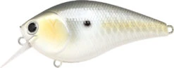 Lucky Craft LC 2.5 Shallow Squarebill Crankbait 30 Lucky Craft LC 2.5 Shallow Squarebill Crankbait -Vis en Kleding Shop LC 2 5 426GTFSD