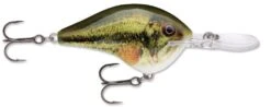 Rapala DT Series Crankbait DT14 38 Rapala DT Series Crankbait DT14 -Vis en Kleding Shop Live Largemouth Bass e41a2a50 910d 4609 ac40 3bc3d77b1c5d
