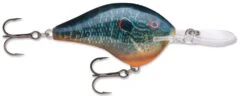 Rapala DT Series Crankbait DT14 39 Rapala DT Series Crankbait DT14 -Vis en Kleding Shop Live Pumkinseed 552b3c5e d89f 421f bb94 4b20f67dd065