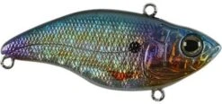 SPRO Aruku Shad Jr. Lipless Crankbait 24 SPRO Aruku Shad Jr. Lipless Crankbait -Vis en Kleding Shop Magic Shad 15cace6c cd9d 4306 aab0 df8ddbd71360