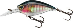 Yo-Zuri 3DB Crank 1.5 MR Medium Diving Crankbait -Vis en Kleding Shop R1353 RGB 929baf19 2669 419a b718 142e9dc03f1c
