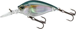 Yo-Zuri 3DB Crank 1.5 MR Medium Diving Crankbait -Vis en Kleding Shop R1353 RGZS 293c94d3 0b1f 473e a6be 5424a2d134f9