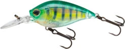 Yo-Zuri 3DB Crank 1.5 MR Medium Diving Crankbait -Vis en Kleding Shop R1353 RPC b45b787d aad7 47fc 9ecb 10bbb906a713