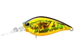 Hardcore Crank MR 60F Medium Crankbait -Vis en Kleding Shop R1364 HGSN