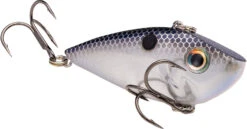 Strike King Red Eyed Shad 1/4 Oz. Lipless Crankbait -Vis en Kleding Shop REYESD 401 564c26bc 2ecb 463f b925 90920e742b85
