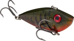 Strike King Red Eyed Shad 1/4 Oz. Lipless Crankbait -Vis en Kleding Shop REYESD 468 a5625f59 41fa 4f34 ab76 9723b62793a0