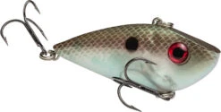 Strike King Red Eyed Shad 1/4 Oz. Lipless Crankbait -Vis en Kleding Shop REYESD 568 cd549acd d67e 4260 9d8c fac12096a334