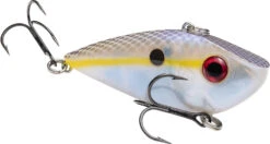 Strike King Red Eyed Shad 1/4 Oz. Lipless Crankbait -Vis en Kleding Shop REYESD 598 f5abdb89 072d 4900 acf7 511f5817ee10