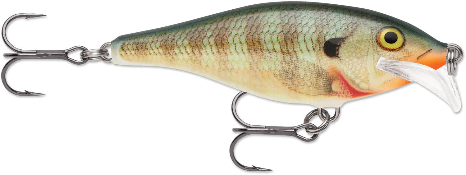 Rapala Scatter Rap Shad 07 Medium Diving Crankbait 4 Rapala Scatter Rap Shad 07 Medium Diving Crankbait - Image 4