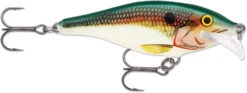 Rapala Scatter Rap Shad 07 Medium Diving Crankbait 27 Rapala Scatter Rap Shad 07 Medium Diving Crankbait -Vis en Kleding Shop SCRS SD