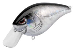 SPRO Hunter 65 SB Shallow Squarebill Crankbait 34 SPRO Hunter 65 SB Shallow Squarebill Crankbait -Vis en Kleding Shop SEHTRSB65BKS BlackSilver ff4db184 89b1 419a 92e9 d328b86c6dd0