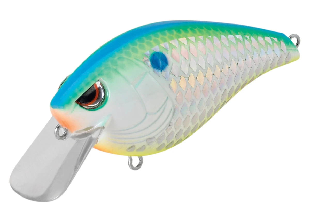 SPRO Hunter 65 SB Shallow Squarebill Crankbait 6 SPRO Hunter 65 SB Shallow Squarebill Crankbait - Image 6