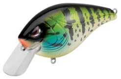 SPRO Hunter 65 SB Shallow Squarebill Crankbait 30 SPRO Hunter 65 SB Shallow Squarebill Crankbait -Vis en Kleding Shop SEHTRSB65PPS PumpkinSeed