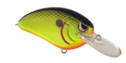 SPRO John Crews Little John MD 50 Crankbait -Vis en Kleding Shop SLJM50CBB ChartreuseBlackBack
