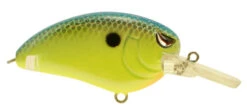 SPRO John Crews Little John MD 50 Crankbait -Vis en Kleding Shop SLJM50CBL ChartreuseBlue