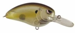 SPRO John Crews Little John MD 50 Crankbait -Vis en Kleding Shop SLJM50CCH ClearChartreuse