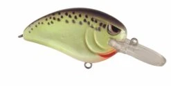 SPRO John Crews Little John MD 50 Crankbait -Vis en Kleding Shop SLJM50CMT CellMate