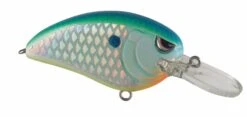 SPRO John Crews Little John MD 50 Crankbait -Vis en Kleding Shop SLJM50CSD CitrusShad