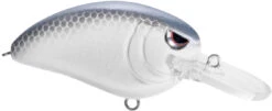 SPRO John Crews Little John MD 50 Crankbait -Vis en Kleding Shop SLJM50LVS LavenderShad bc92fc99 ed28 4f91 97b0 63dd1c026014