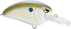 SPRO John Crews Little John MD 50 Crankbait -Vis en Kleding Shop SLJM50NHR NaturalHerring 8370a92a 9adb 4cd4 8be4 3f132fb1bfe2
