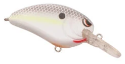 SPRO John Crews Little John MD 50 Crankbait -Vis en Kleding Shop SLJM50NSD NastyShad