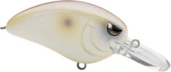 SPRO John Crews Little John MD 50 Crankbait -Vis en Kleding Shop SLJM50PRS PearlShad 0d4556d3 bd91 4e57 a88c 693d62ed943c