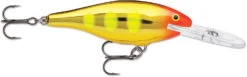 Rapala Shad Rap 3 1/8 Inch Deep Diving Crankbait SR08 33 Rapala Shad Rap 3 1/8 Inch Deep Diving Crankbait SR08 -Vis en Kleding Shop SR08JLC 5374a21a e652 47f1 a03b fa03c046036d