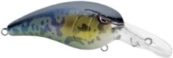 SPRO Mike McClelland RkCrawler MD 55 Medium Diving Crankbait -Vis en Kleding Shop SRCMD55GBY Goby dd4a042b 83d9 4bd4 bfa0 d678dedf4295