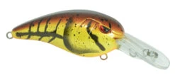SPRO Mike McClelland RkCrawler MD 55 Medium Diving Crankbait -Vis en Kleding Shop SRCMD55MCW 2