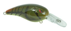 SPRO Mike McClelland RkCrawler MD 55 Medium Diving Crankbait -Vis en Kleding Shop SRCMD55PGR 2