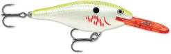 Rapala Shad Rap 2 Inch Medium Diving Crankbait SR05 24 Rapala Shad Rap 2 Inch Medium Diving Crankbait SR05 -Vis en Kleding Shop SR BCSD 78fe3b33 04c7 470c b6e5 b3128c239a56