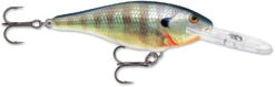 Rapala Shad Rap 3 1/8 Inch Deep Diving Crankbait SR08 26 Rapala Shad Rap 3 1/8 Inch Deep Diving Crankbait SR08 -Vis en Kleding Shop SR BG 2072b5da 4ba7 49d1 91cb a2f795506bfc