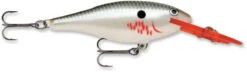 Rapala Shad Rap 2 Inch Medium Diving Crankbait SR05 29 Rapala Shad Rap 2 Inch Medium Diving Crankbait SR05 -Vis en Kleding Shop SR BP