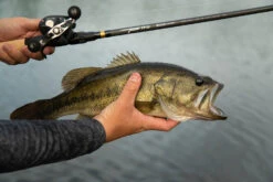 Temple Fork Outfitters Tactical Bass Glass Casting Rods 11 Temple Fork Outfitters Tactical Bass Glass Casting Rods -Vis en Kleding Shop Tactical Bass Bottom Banner Lifestlye 1 f6a75b7c 7ed5 4159 863b 849c406dbdfc