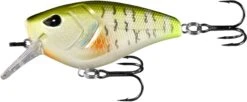 13 Fishing Warthog Squarebill Crankbait -Vis en Kleding Shop W60 4 08