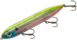 Heddon Super Spook 5 Inch Topwater Walker 24 Heddon Super Spook 5 Inch Topwater Walker -Vis en Kleding Shop X9256HOS