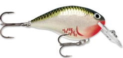 Rapala DT Series Crankbait DT4 -Vis en Kleding Shop bleeding olive shiner b6263b92 6a43 45af 9691 3e5bd20a5503