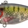 River2Sea Ruckus 3/4 Oz. Lipless Crankbait