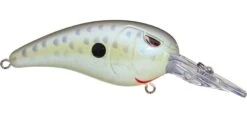 SPRO Mike McClelland RkCrawler 50 Medium Diving Crankbait -Vis en Kleding Shop cell mate
