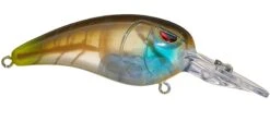SPRO Mike McClelland RkCrawler 50 Medium Diving Crankbait -Vis en Kleding Shop clear gill