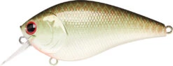 Lucky Craft LC 2.5 Shallow Squarebill Crankbait 24 Lucky Craft LC 2.5 Shallow Squarebill Crankbait -Vis en Kleding Shop copper 2Bgreen 2Bshad