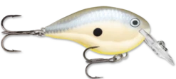 Rapala DT Series Crankbait DT4 -Vis en Kleding Shop disco shad 48ff9892 84e7 4f3b 8c8c 61b5dda2adf1